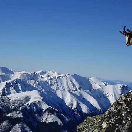 Chata Zrub Krivan Drevena S Vyhladom Na Tatry Závažná Poruba